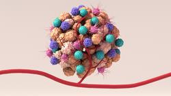 Cover image for research topic "Overcoming Physiologic Barriers to Treatments for Hematologic Malignancies by Molecularly Targeting the Tumor Microenvironment"