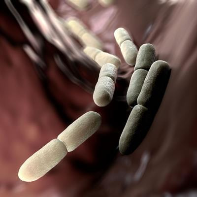 Cover image for research topic "Emerging Perspectives on Probiotics, Prebiotics, and Synbiotics for Prevention and Management of Chronic Disease"