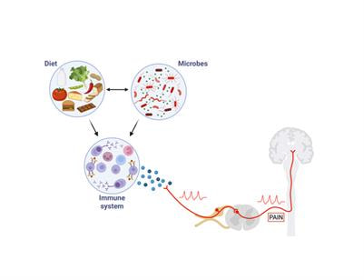 Cover image for research topic "Neuro-Immune Players of Peripheral Pain Signalling"