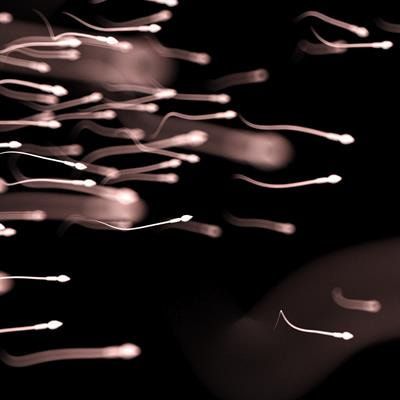 Cover image for research topic "Methods for the Study of Sperm Motility and Function"