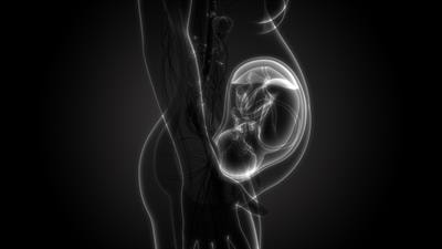 Cover image for research topic "Current and Future Trends in Gestational Diabetes Diagnosis, Care and Neonatal Outcomes"