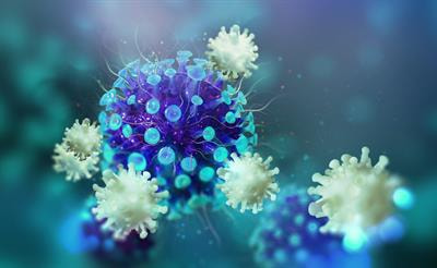 Cover image for research topic "Herpesviruses of Animals: Recent Advances and Updates"