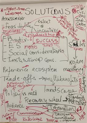 Cover image for research topic "Co-creating Knowledge for Community Resilience to Sustainability Challenges"