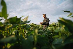 Cover image for research topic "Interrelationships Between Food Security, Crop Field Management and Technology"