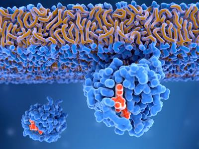 Cover image for research topic "Targeting Cellular Signalling Pathways for Disease Therapy: The Potential of Cellular Reprogramming and Protein Kinase Inhibitors"