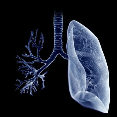 Cover image for research topic "Case Reports in Pulmonary Medicine 2023"