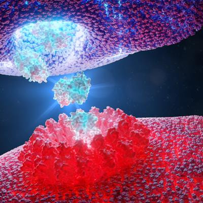 Cover image for research topic "Immunometabolism: Bridging the Gap Between Immunology and Nutrition"