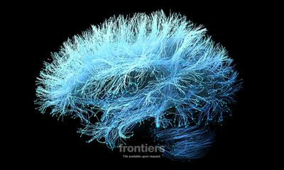 Cover image for research topic "Neuroinflammation, Neurodegeneration and Metabolic Disease: From Molecular Mechanisms to Therapeutic Innovation"