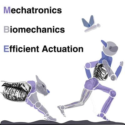 Cover image for research topic "Advances in Mechatronics and Biomechanics towards Efficient Robot Actuation"