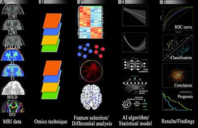 Cover image for research topic "Radiomics and Connectomics: Applications to Central Nervous System Diseases"