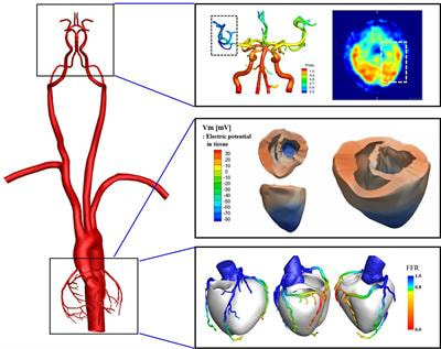 Cover image for research topic "Clinical Applications of Physiome Models"