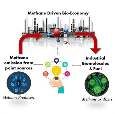 Cover image for research topic "Methane: A Bioresource for Fuel and Biomolecules"