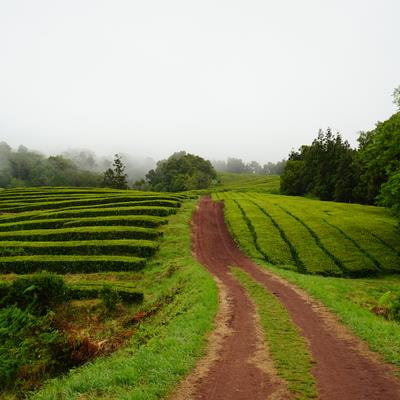 Cover image for research topic "Agritourism and Local Development: Innovations, Collaborations, and Sustainable Growth"