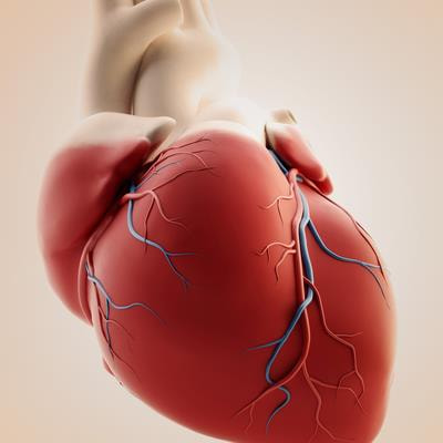 Cover image for research topic "Cardiac Reverse Remodeling After Novel Heart Failure Therapies - Volume II"