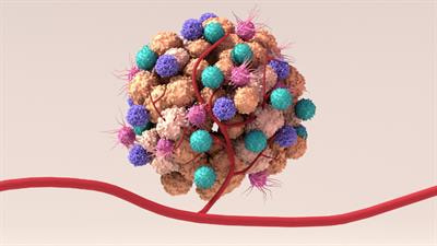 Cover image for research topic "Deciphering the Regulatory Role of Transcription Factors in Cancer Immune Infiltration"