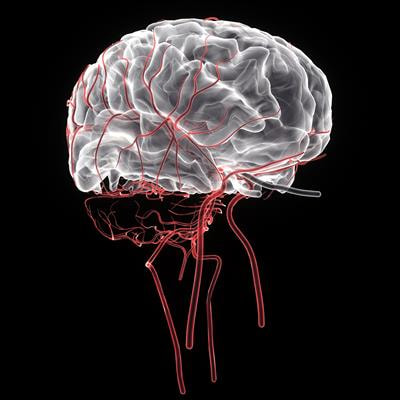 Cover image for research topic "Cerebrovascular and Neurodegenerative Diseases - New Insights into Molecular Cell Biology and Therapeutic Targets"