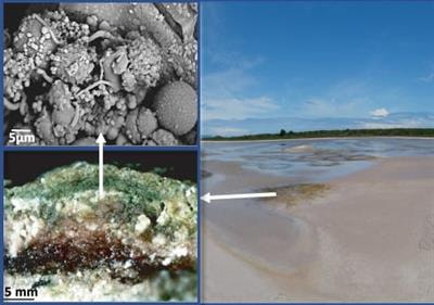 Cover image for research topic "New Frontiers in Astrobiology: Life vs. Abiotic Detection from Microscopic to Infinity"