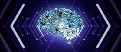 Cover image for research topic "Brain Function: From Experimental and Computational Neuroscience to Brain Engineering"