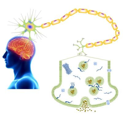 Cover image for research topic "Interplay Between Alpha-Synuclein and Membrane in Function and Pathogensis"