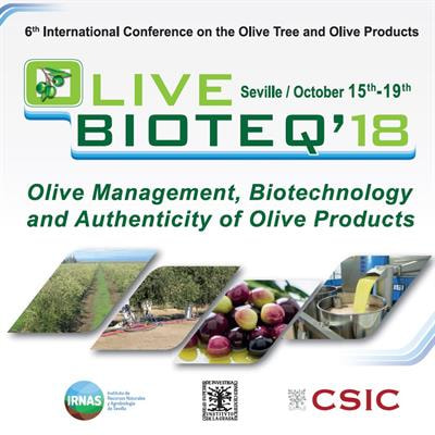 Cover image for research topic "Proceedings of Olivebioteq 2018 – Olive Management, Biotechnology and Authenticity of Olive Products"