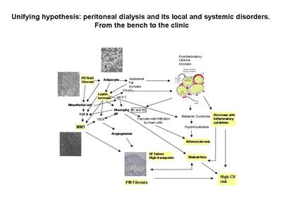 Cover image for research topic "Peritoneal Dialysis and Its Local and Systemic Complications: From the Bench to the Clinic."