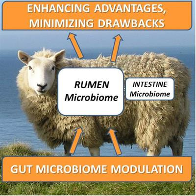 Cover image for research topic "Gut Microbiome Modulation in Ruminants: Enhancing Advantages and Minimizing Drawbacks"