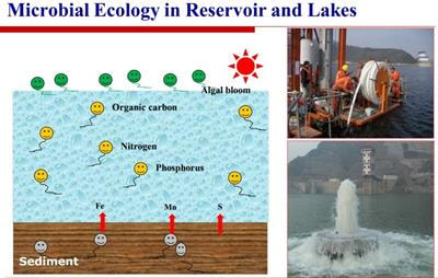 Cover image for research topic "Microbial Ecology in Reservoirs and Lakes  "