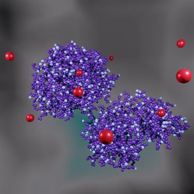 Cover image for research topic "Clinical Paths for Soluble Epoxide Hydrolase Inhibitors"