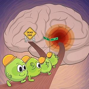 Cover image for research topic "Cell-based Therapies for Stroke: Promising Solution or Dead End?"