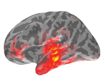 Cover image for research topic "Brain-Behaviour Interfaces in Linguistic Communication"