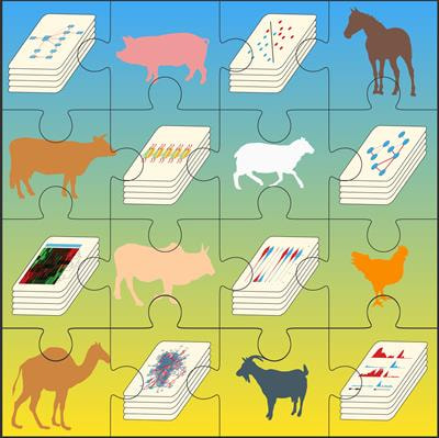 Cover image for research topic "Integrative Genomics and Network Biology in Livestock and other Domestic Animals"