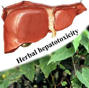 Cover image for research topic "Hepatotoxicity and Hepatocarcinogenicity of Herbal Medicines: Clinical and Pharmacoepidemiological Perspectives"