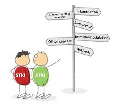 Cover image for research topic "Updated and New Applications of Src Tyrosine Kinase Inhibitors"