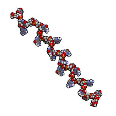 Cover image for research topic "Human and Oncoviral Noncoding RNAs as Modulators of Cancer Aggressiveness and Disease Progression"