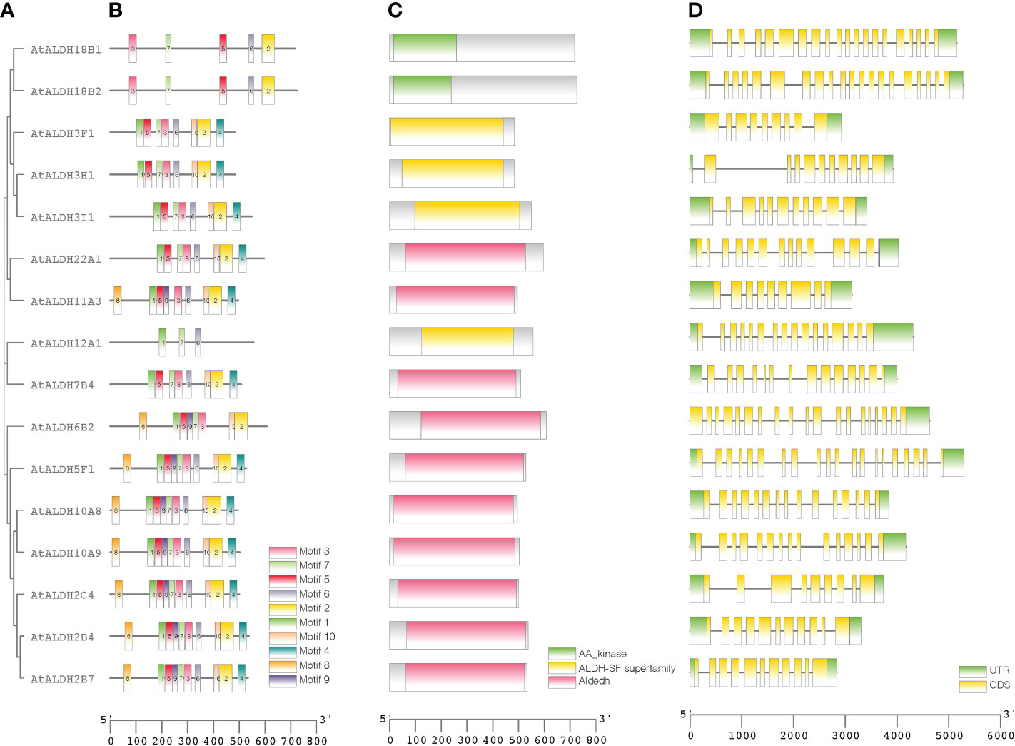Frontiers | Comparative genomic analysis of the aldehyde dehydrogenase ...
