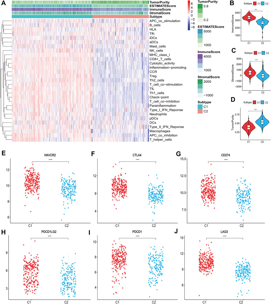 Frontiers | Gene Set-based Identification Of Two Immune Subtypes Of ...