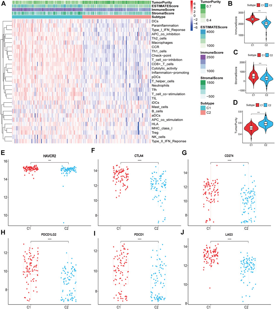 Frontiers | Gene Set-based Identification Of Two Immune Subtypes Of ...