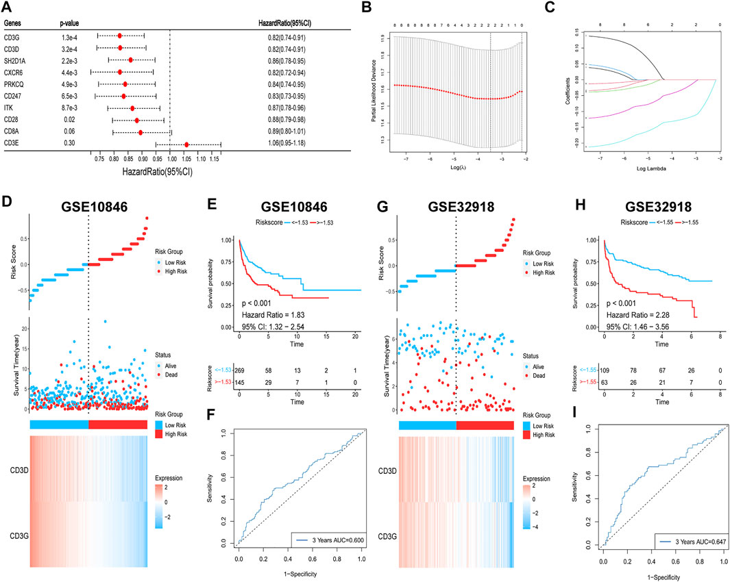 Frontiers | Gene Set-based Identification Of Two Immune Subtypes Of ...