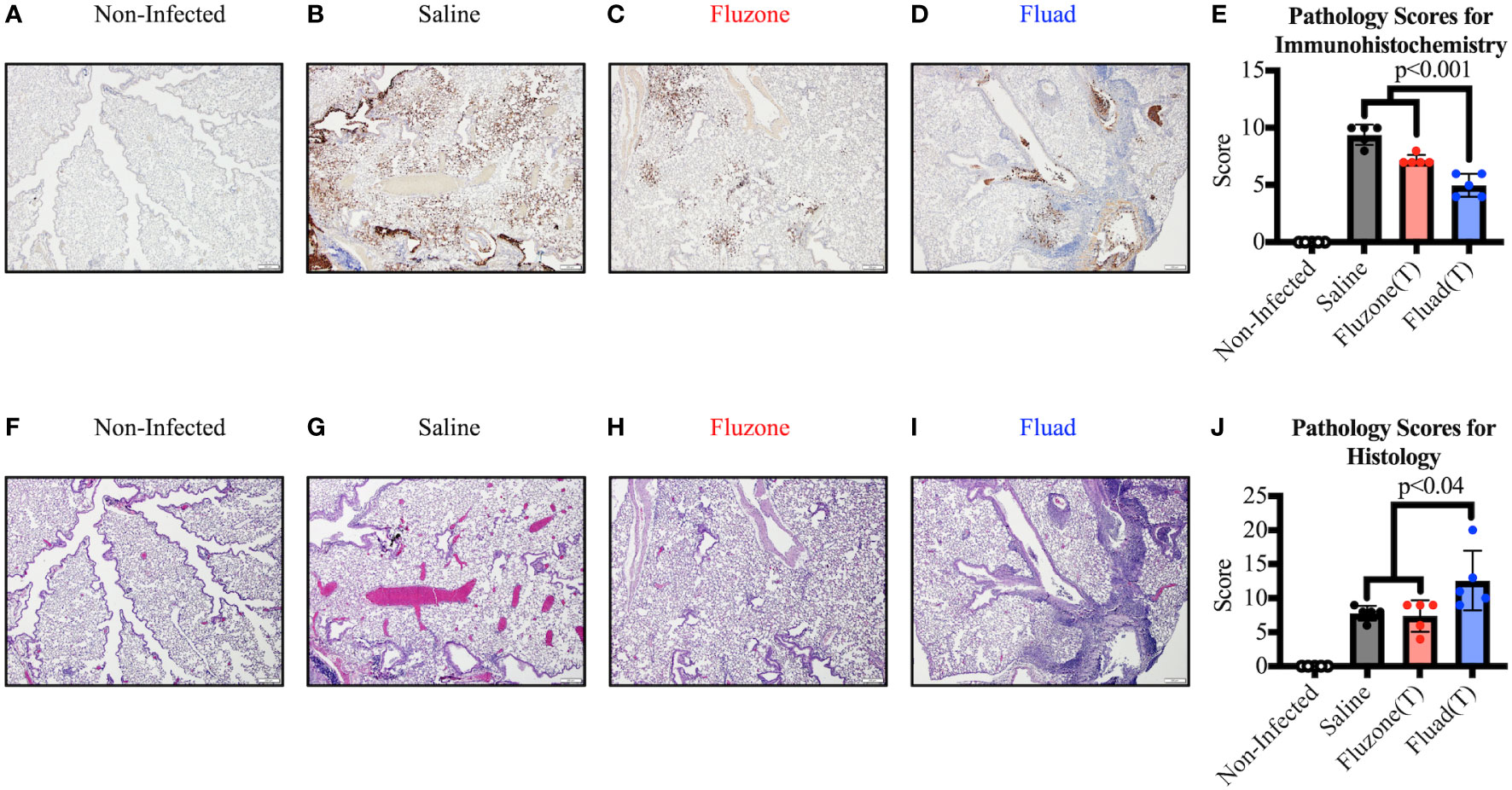 Frontiers | Impact Of Adjuvant: Trivalent Vaccine With Quadrivalent ...