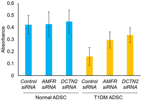 Frontiers  Myogenic Cell Transplantation in Genetic and Acquired