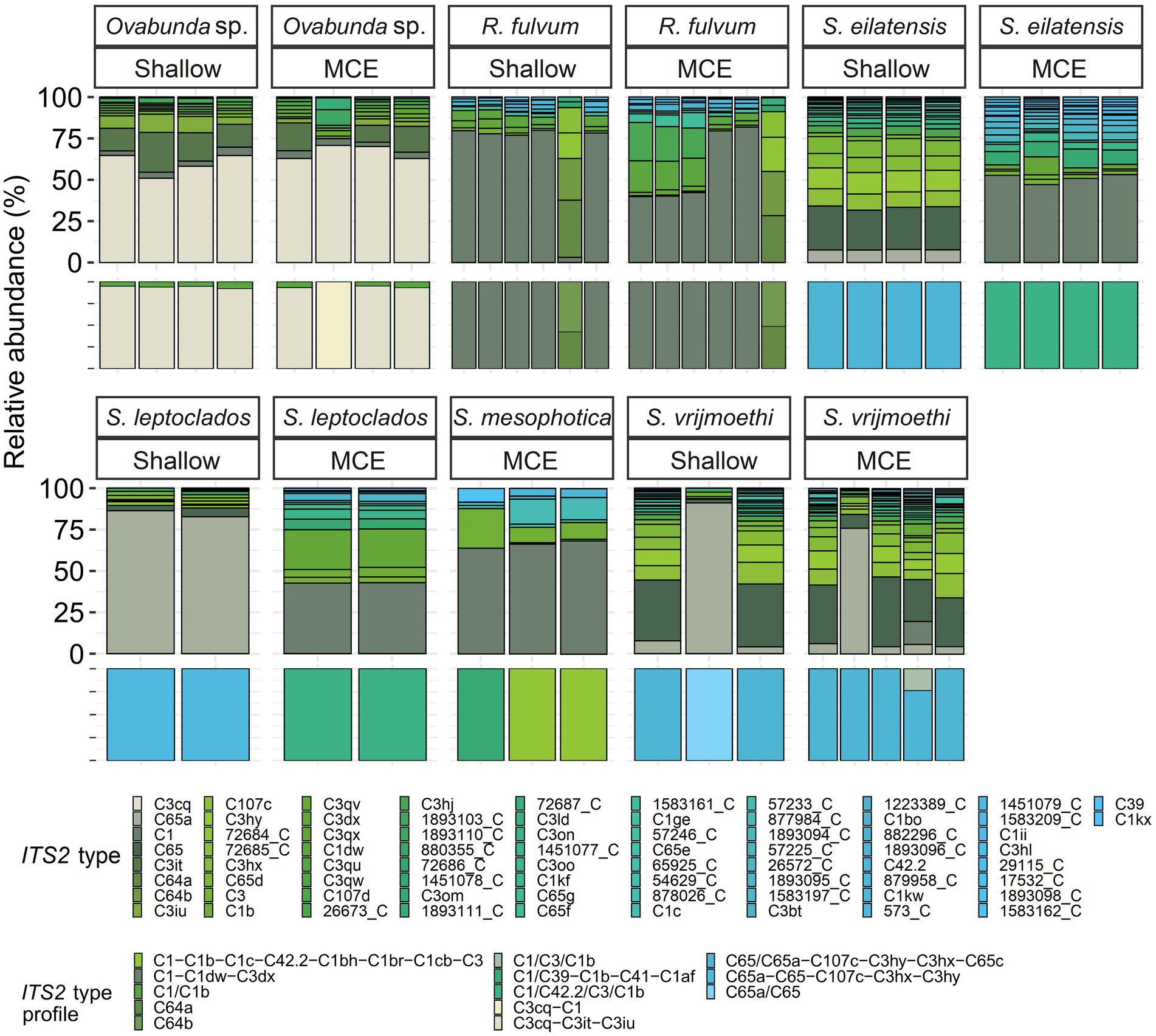 Building consensus around the assessment and interpretation of  Symbiodiniaceae diversity [PeerJ]