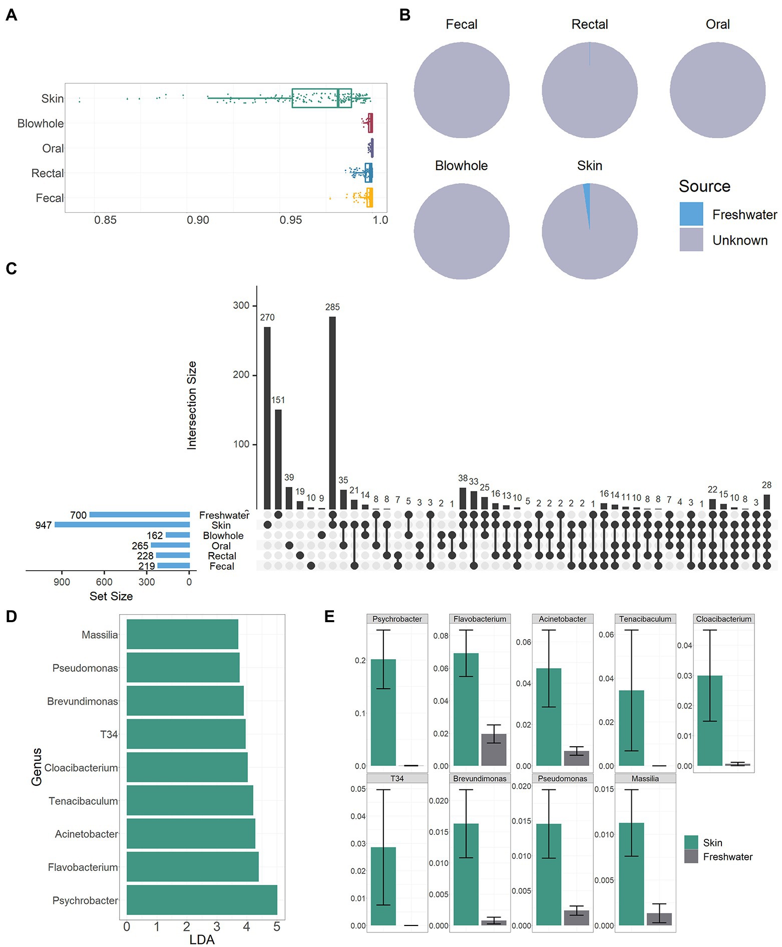 Frontiers | The bacteria of Yangtze finless porpoise (Neophocaena ...