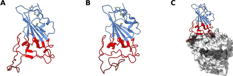 Sara Khan Bathroom Adult Video - Frontiers | SARS-CoV-2 variants impact RBD conformational dynamics and ACE2  accessibility