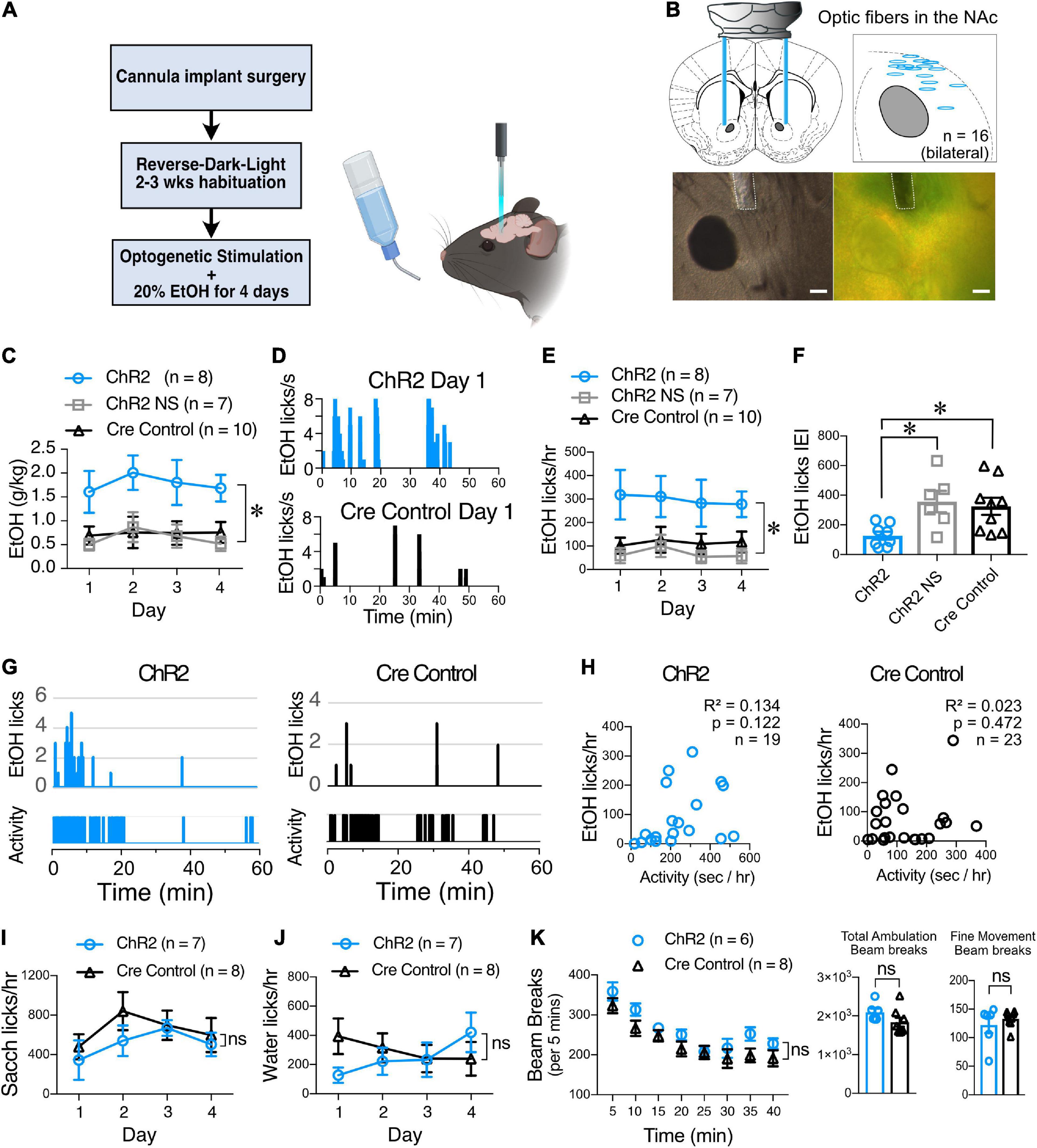 Frontiers | Binge alcohol drinking alters the differential control