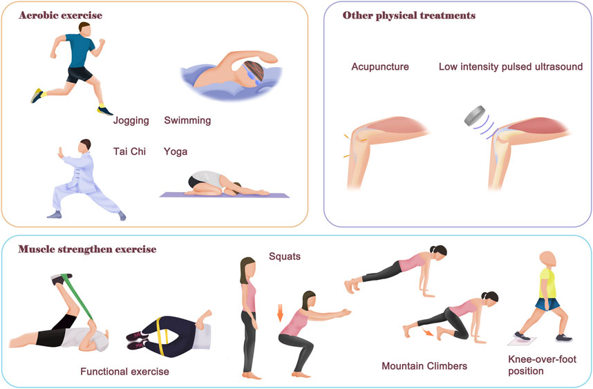 The different types of exercises in physiotherapy