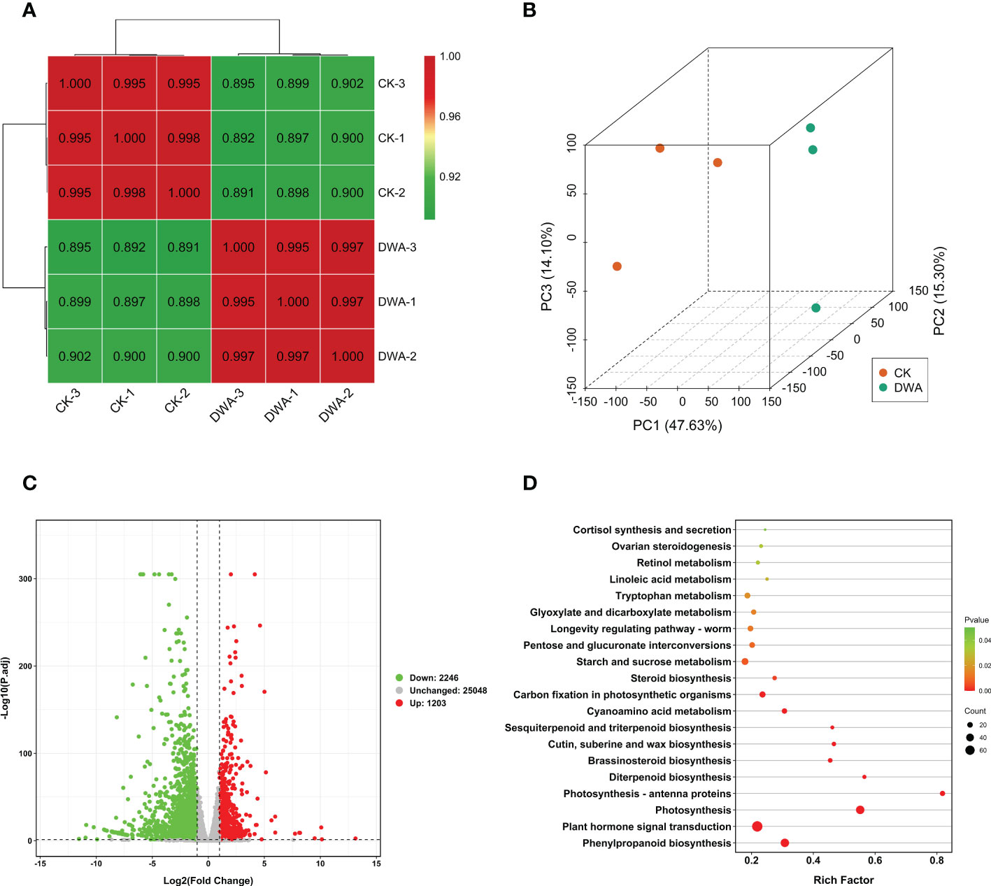 Frontiers | Transcriptomic and metabolomic analyses reveal the 