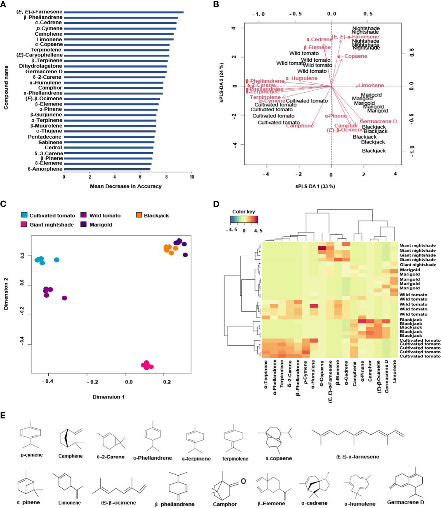 A chromosome-level genome assembly of tomato pinworm, Tuta absoluta