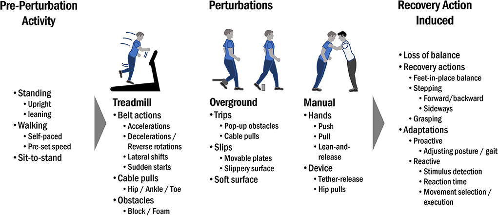 Frontiers Perturbation based Balance Training Principles Mechanisms 