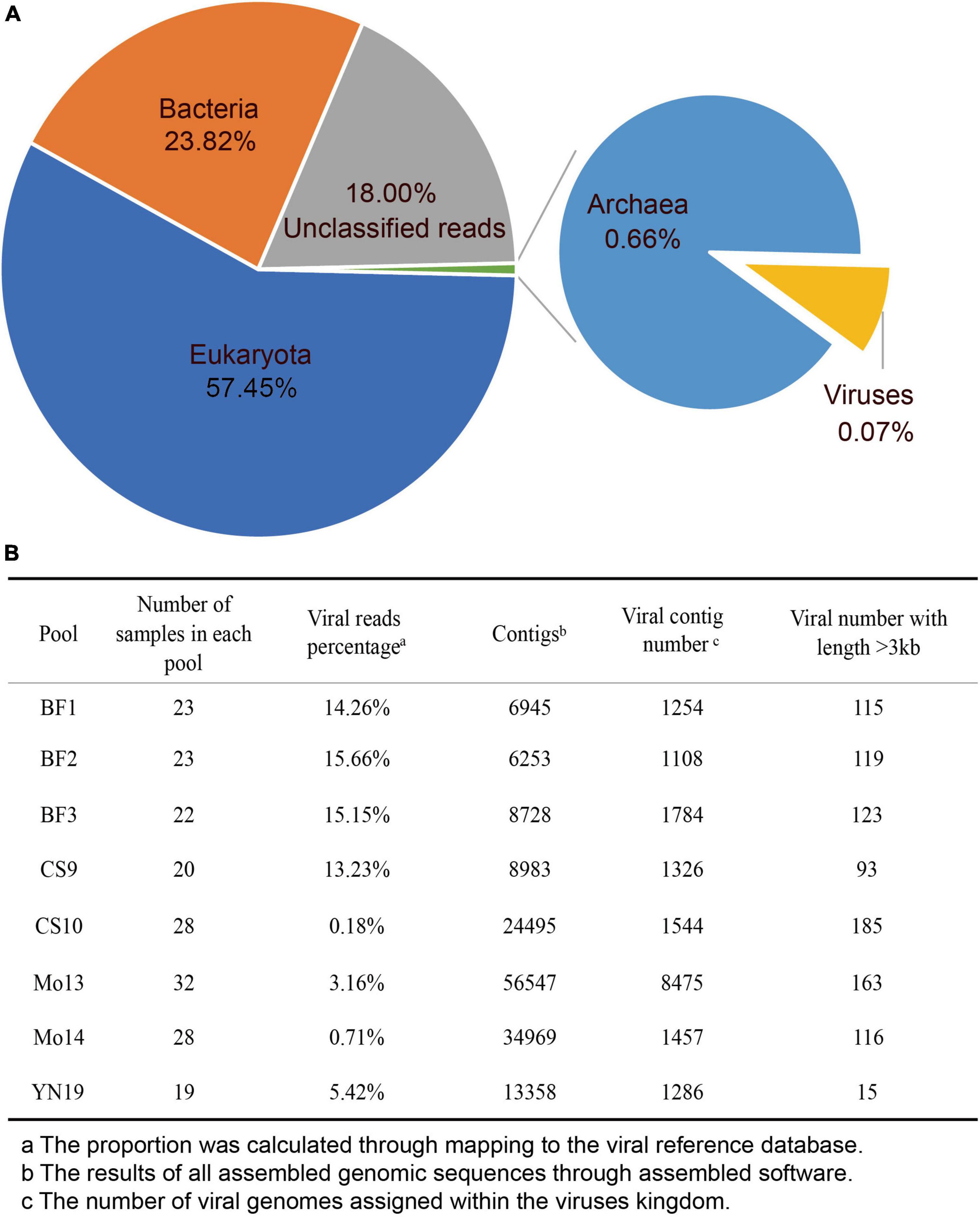 Frontiers | Highly diverse ribonucleic acid viruses in the viromes