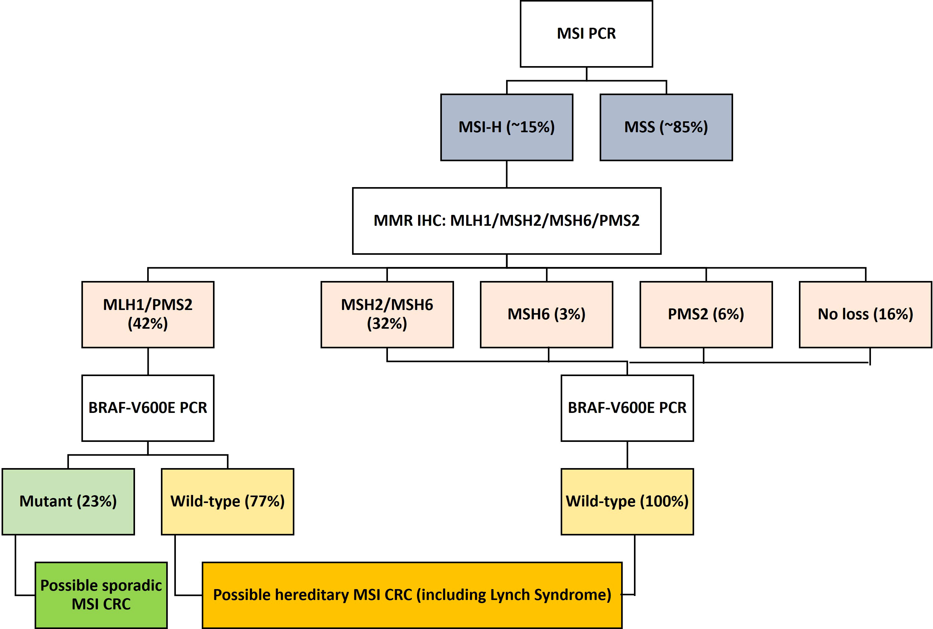 Frontiers Clinicopathological Characteristics Of High Microsatellite 